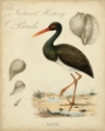 Picture of HERON ANTHOLOGY I