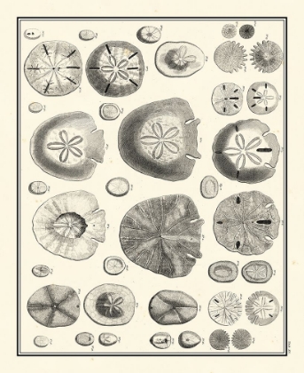 Picture of AEGEAN COLLECTION II