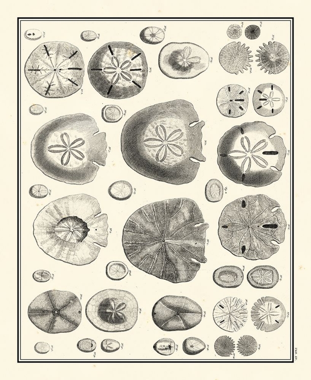 Picture of AEGEAN COLLECTION II