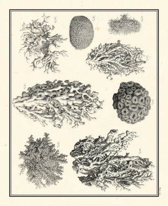 Picture of AEGEAN COLLECTION IV