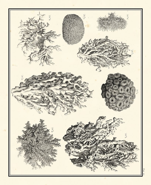 Picture of AEGEAN COLLECTION IV