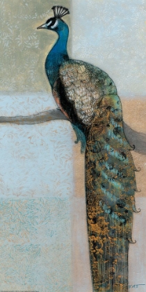 Picture of RESTING PEACOCK II