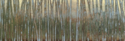 Picture of BLUE BIRCH FOREST I