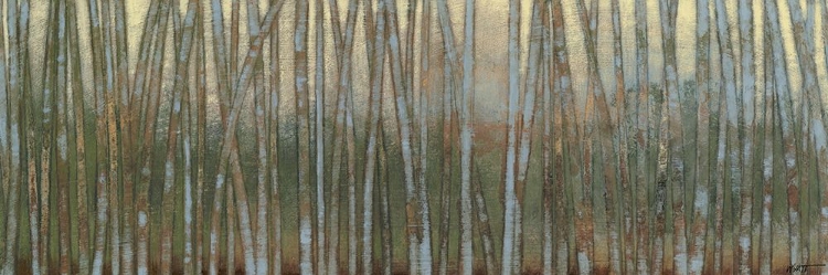 Picture of BLUE BIRCH FOREST I