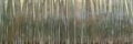 Picture of BLUE BIRCH FOREST I