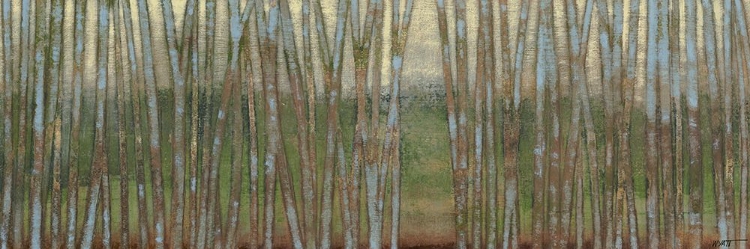 Picture of BLUE BIRCH FOREST II