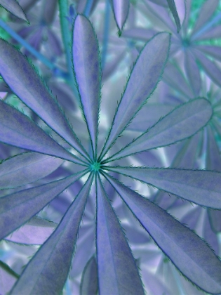 Picture of WOODLAND PLANTS IN BLUE II