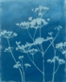 Picture of INDIGO PRINT II