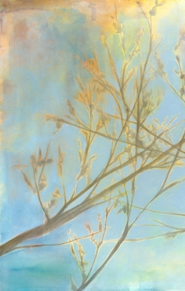 Picture of EMBRACE I