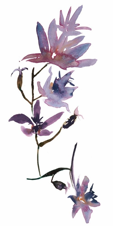 Picture of NO DCKL FLORAL WATERCOLOR IV