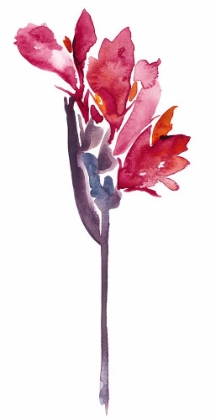 Picture of NO DCKL FLORAL WATERCOLOR V