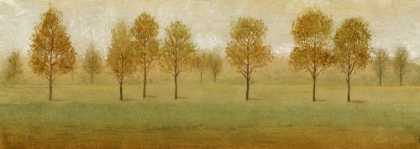 Picture of A SIMPLE SUMMER II