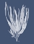 Picture of SEAWEED 1 WHITE ON INDIGO BLUE