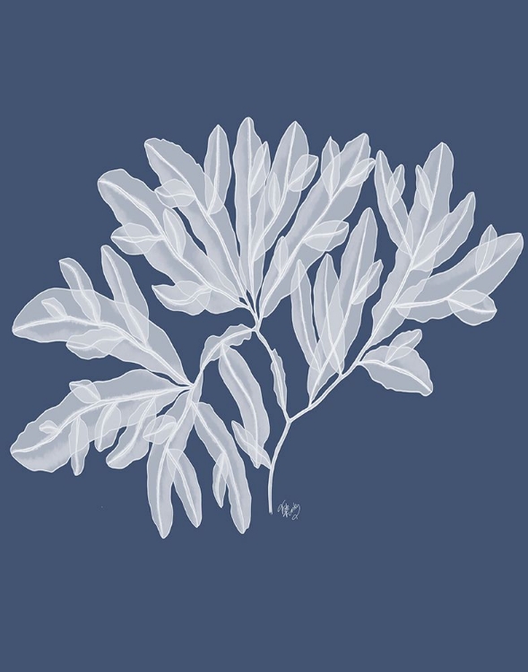 Picture of SEAWEED 4 WHITE ON INDIGO BLUE