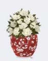 Picture of CHINOISERIE MAGNOLIAS WHITE - RED VASE
