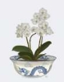 Picture of CHINOISERIE ORCHIDS WHITE - DRAGON BOWL BLUE