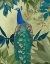Picture of PEACOCK ON BRANCH