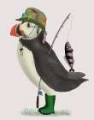 Picture of PUFFIN FISHING