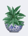 Picture of BLUE CHINOISERIE BOWL WITH CHINESE EVERGREEN