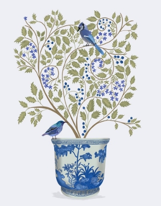 Picture of BLUEBERRY TREE IN PLANTER