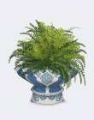 Picture of CHINOISERIE BOWL AND FERN