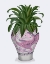 Picture of DRAGON VASE IN PINK WITH PLANT