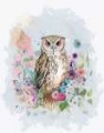 Picture of FLORALESSENCE OWL 2
