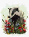 Picture of FLORALESSENCE BADGER 2