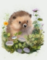 Picture of HEDGEHOG IN IVY