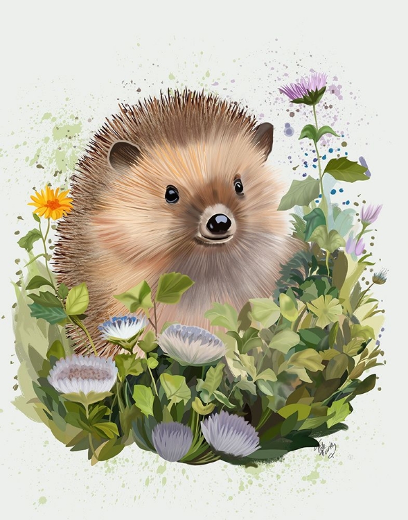 Picture of HEDGEHOG IN IVY