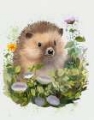 Picture of HEDGEHOG IN IVY