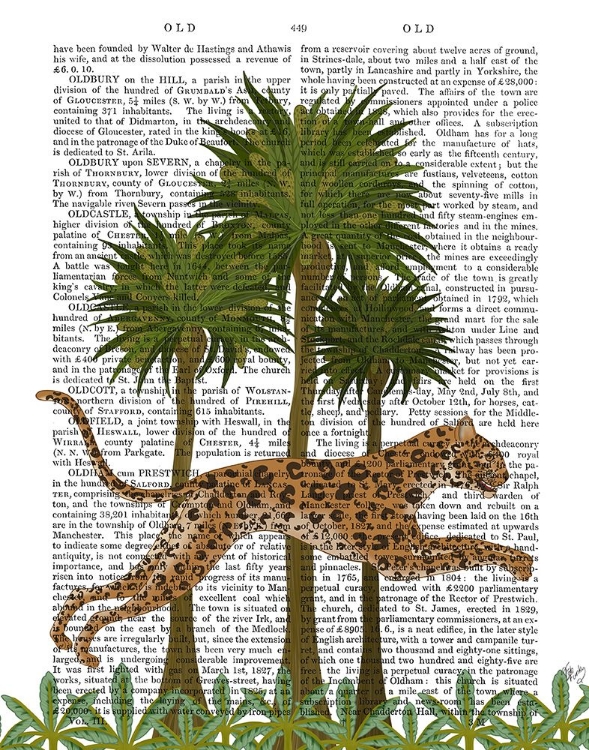 Picture of LEAPING LEOPARD, ANIMALIA BOOK PRINT