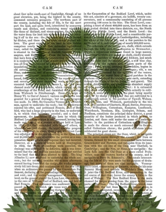 Picture of LION UNDER PALM, ANIMALIA BOOK PRINT