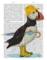 Picture of PUFFIN PUDDLE