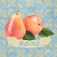 Picture of FRUIT PLATEWARE E