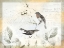 Picture of RUSTIC GOULD COLLECTION A