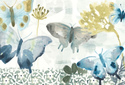 Picture of BUTTERFLY CONCERTO COLLECTION A