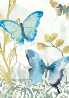 Picture of BUTTERFLY CONCERTO COLLECTION B