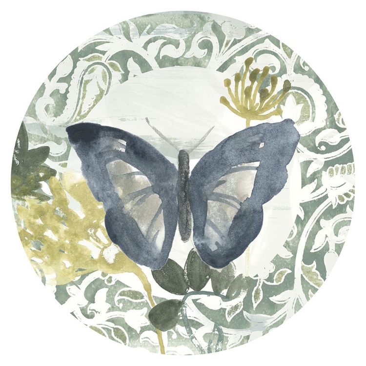 Picture of BUTTERFLY CONCERTO COLLECTION C