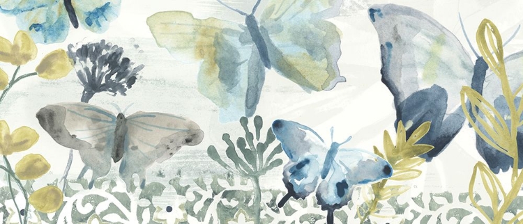 Picture of BUTTERFLY CONCERTO COLLECTION D