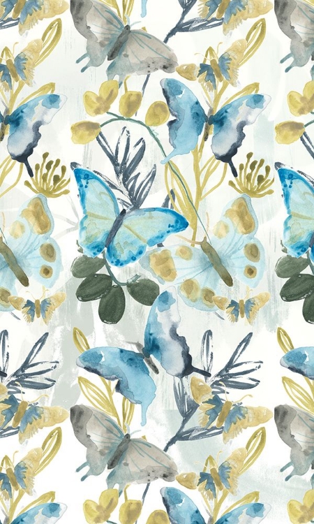 Picture of BUTTERFLY CONCERTO COLLECTION E