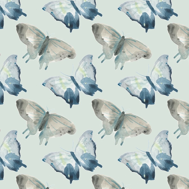 Picture of BUTTERFLY CONCERTO COLLECTION F