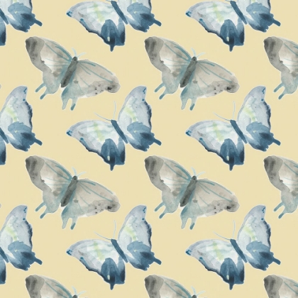 Picture of BUTTERFLY CONCERTO COLLECTION G