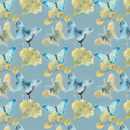 Picture of BUTTERFLY CONCERTO COLLECTION H