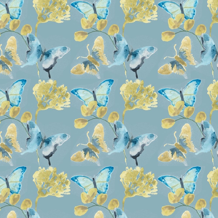 Picture of BUTTERFLY CONCERTO COLLECTION H