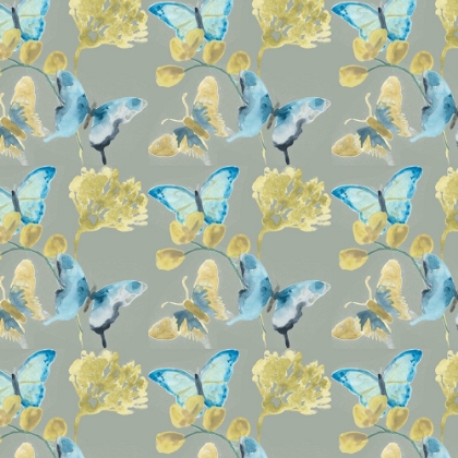 Picture of BUTTERFLY CONCERTO COLLECTION I