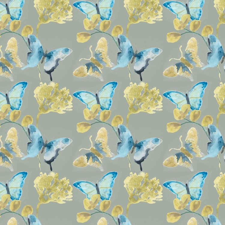 Picture of BUTTERFLY CONCERTO COLLECTION I