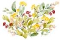 Picture of SPRING SPRIGS COLLECTION A