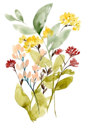 Picture of SPRING SPRIGS COLLECTION B