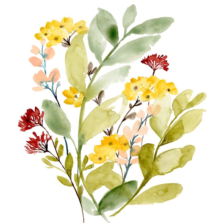 Picture of SPRING SPRIGS COLLECTION C